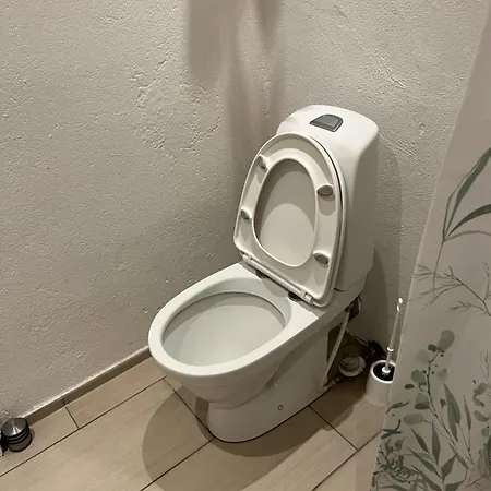 Mini 1 بيت شباب بيلوند